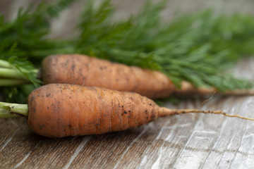 Two carrots on old wood table