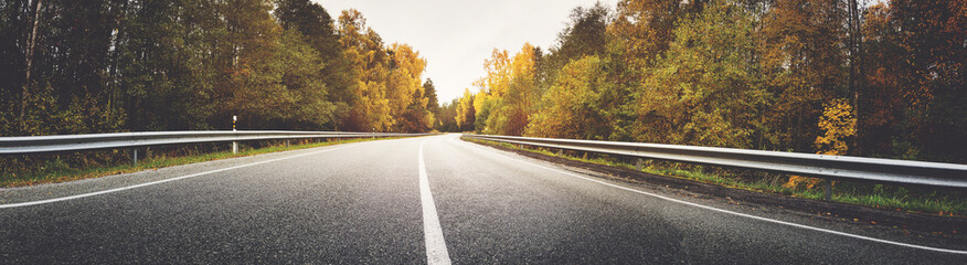 asphalt road with beautiful trees on the sides in autumn