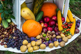 Fototapeta  - Kompozycje warzywno owocowe jako tła z płodów rolnych