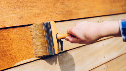 Female hand painting wooden wall with a brush