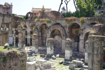 Poster - Foro Romano