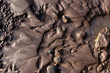 Glacial riverbank shore with wet black silt sand mud