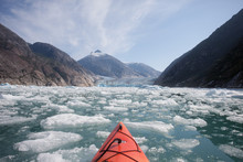 Kayaking Among Icebergs Near A Glacier In A Fjord
