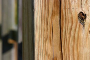 Wall Mural - Close up shot of wooden post