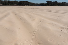 The Tracks Of A Lace Monitor Lizard On The Sandy Beach On The East Side Of Bribie Island, Queensland, Australia.