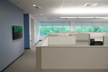 Wall Mural - cubicles inside office building with green trees outside the window