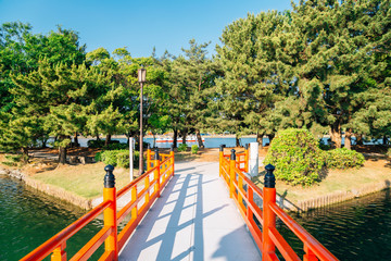 Wall Mural - Ohori park, trees and bridge in Fukuoka, Japan