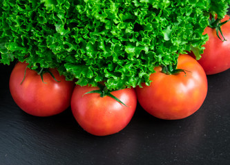 A lush bush of green salad and tomatoes.