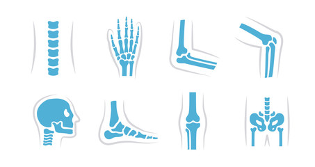 Vector set of knee, leg, pelvis, scapula, skull, elbow, foot, hand and other icons. Orthopedic and skeleton symbols on white background. Human joints and bones.