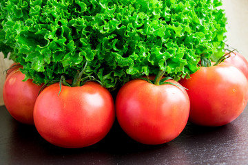 A lush bush of green salad and tomatoes.