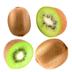 Poster - Collection of kiwi fruit isolated on white