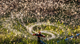 Fototapeta Łazienka - Splashing water to water the lawn as a background