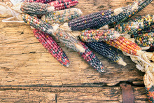 Decorative Corn Cobs. Colored Corn On Wooden Background With Copy Space 
