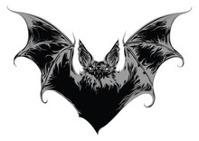 Ghost Bat Vector Illustration