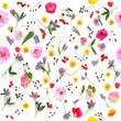 Flowers  flat lay. Seamless pattern from plants, wild flowers and  berries, isolated on white background, top view. 