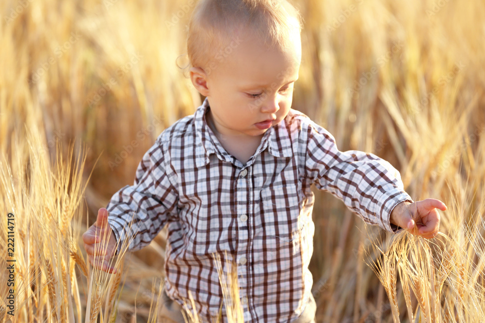 Cute little baby in wheat field on summer day