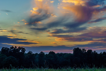 Wall Mural - Beautiful sunset over the forest. HDR photo