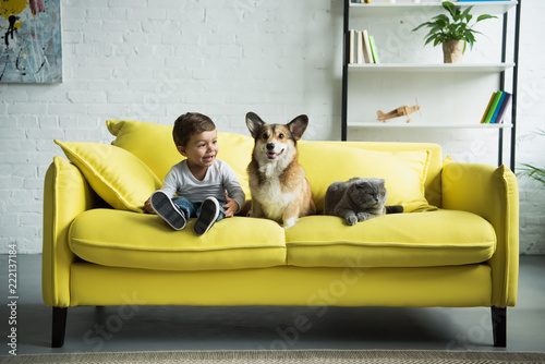 Fotografie, Obraz adorable boy with welsh corgi dog and scottish fold cat sitting on yellow sofa a