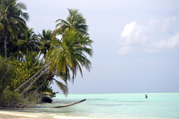 Wall Mural - Maldive