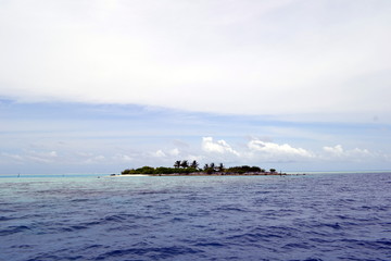 Wall Mural - Maldive