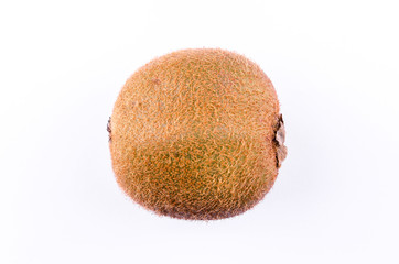 Single kiwi isolated