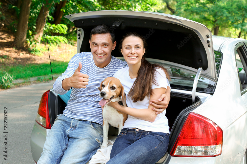 Young couple with cute dog sitting in car trunk