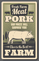 Meat farm vintage poster with pig grown on farm