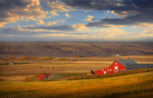 Barn In The Middle Of Prairies In Alberta