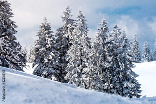 Wintermarchen Mit Verschneiten Tannen Neuschnee Im Winter Nadelbaum Fichten Wintersport Landschaft Buy This Stock Photo And Explore Similar Images At Adobe Stock Adobe Stock