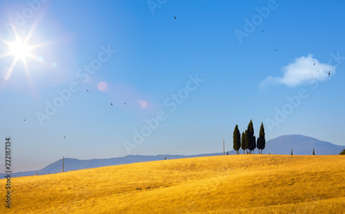 Zdjęcie XXL typowy krajobraz wiejski Toskanii; zachód słońca nad wzgórzami i polami rolnymi Toskanii