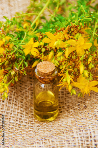 Fotografie, Obraz St. John's wort extract. Medicinal plants.