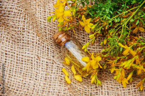 Fotografie, Obraz St. John's wort extract. Medicinal plants.