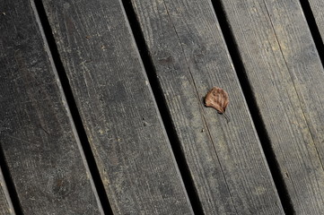 a tiny lonely leaf on wooden floorboards