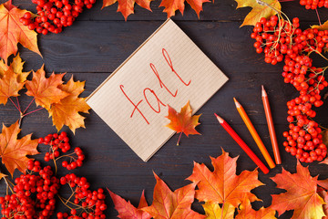Sticker - Tag with the Words fall and a Colorful Autumn Leaf in the Background