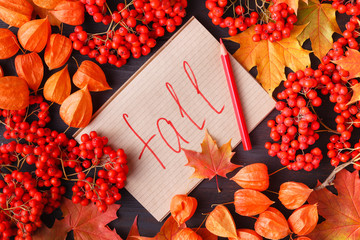 Sticker - Tag with the Words fall and a Colorful Autumn Leaf in the Background