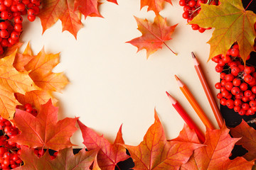 Sticker - Autumn frame of fall leaves, berries and apples with greeting card. Great season texture with fall mood