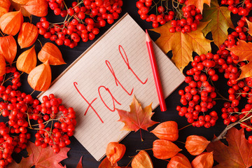 Sticker - Autumn frame of fall leaves, berries and apples with greeting card. Great season texture with fall mood