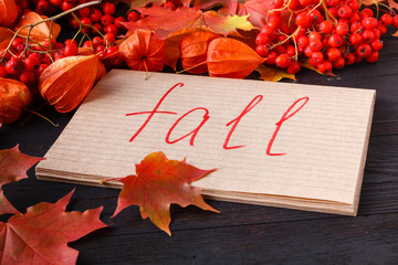Sticker - Autumn frame of fall leaves, berries and apples with greeting card. Great season texture with fall mood