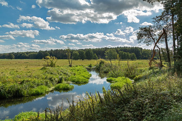 River in a forest