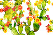 watercolor prickly pear cactus