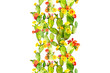 watercolor cactus