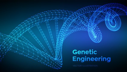 DNA sequence. Wireframe DNA molecules structure mesh. DNA code editable template. Science and Technology concept. Vector illustration.