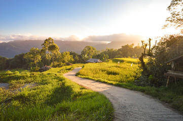 Piękny panoramiczny krajobraz z polami o zachodzie słońca i ryżem w górach Tana Toraja. South Sulawesi, Indonezja
