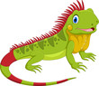 Vector illustration of cute iguana cartoon isolated on white background