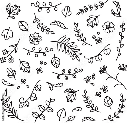 植物 葉 花の手描きイラスト Stock ベクター Adobe Stock 植物 葉 花の手描きイラスト Stock ベクター Adobe Stock