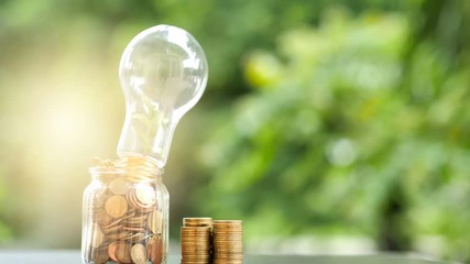 Wall Mural - energy saving. stacks of coins in bottle and tree growing in light bulb and motion tree nature backg