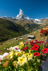 Wall Mural - Ausblick aufs Matterhorn mit Geranien und Chalets