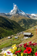 Wall Mural - Ausblick aufs Matterhorn mit Geranien und Chalets