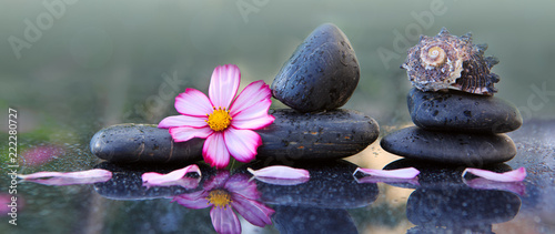 Black spa stones and pink cosmos flower isolated on green. © Swetlana Wall