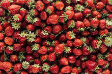 Full Frame Shot Of Ripe Strawberries For Background